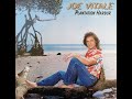 Joe Vitale / Plantation Harbor