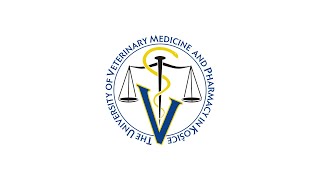 University of Derby video