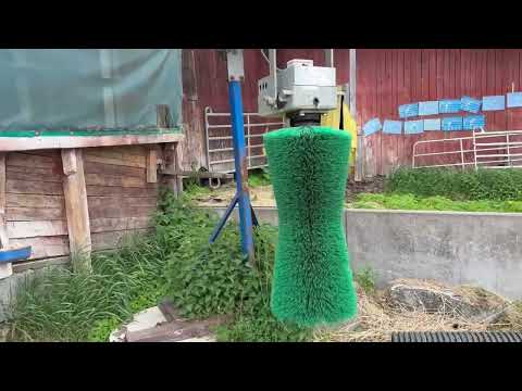 Videoklipp