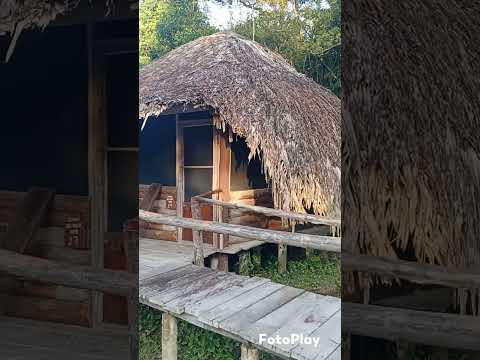Campamento Bujana - Pedernales, Delta del Orinoco