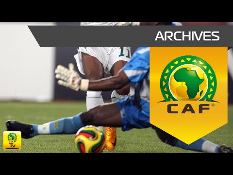 Cote d'Ivoire vs Guinea (Quarter Final) - Africa Cup of Nations, Ghana 2008
