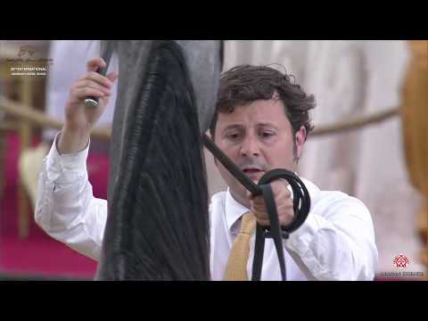 N 149 JASMINE AL SHAQAB   29th Qatar Intl A H  Show 2020   2 Years Old Fillies Class 8