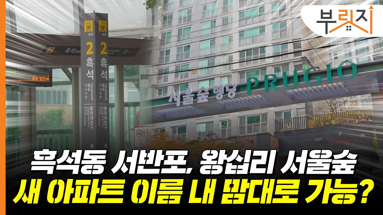 흑석동 아파트 이름이 ‘서반포’여도 문제없는 이유[부릿지GO]