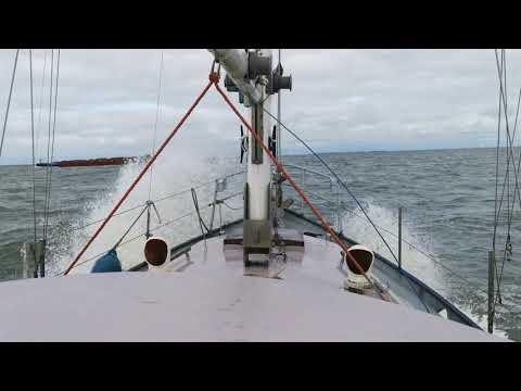 Met een 50 jarige opknapper over het IJsselmeer. Zeilboot Lelystad-Lemmer 25 augustus 2021
