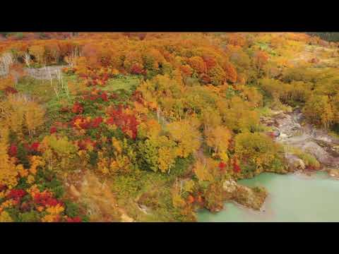Jigoku Pond / Aomori in Autumn