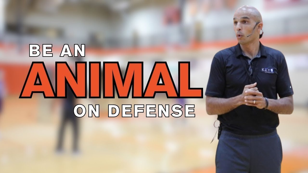 How to Run the Full Court Animal Press Defense | Basketball Coaching