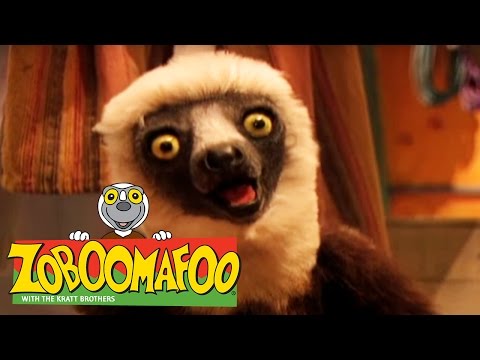 🐒 Zoboomafoo 🐒 Season 1 Episode 6-10 Full Episode Compilation | Kids TV Shows