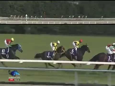 2014.10.19 Shuka Sho (JPN) - Shonan Pandora