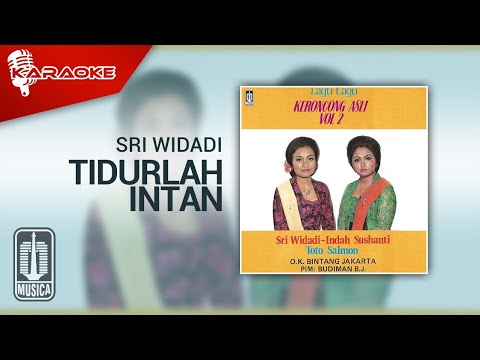 Sri Widadi - Tidurlah Intan (Official Karaoke Video)