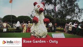 preview picture of video 'Rose Garden, Ooty, Tamil Nadu'