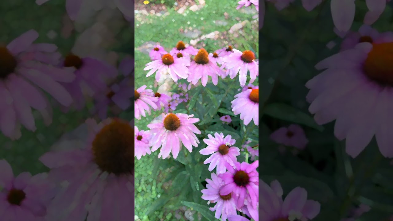 Promotional video thumbnail 3 for Soul Testimony