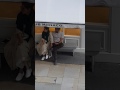 Sunny Deol And Dimple Together In London