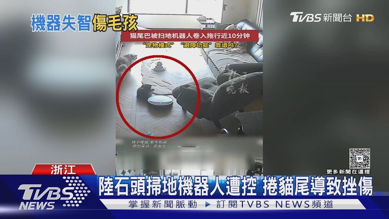 掃地機器人「吃貓尾」拖行10分鐘!智慧避障失靈 非首例