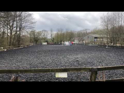 Brian Lin & Mouse Class 4: BE90 Dressage Test 97