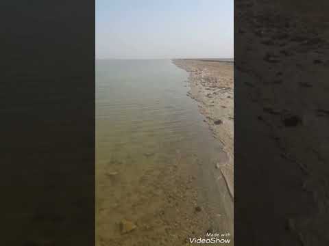 شاطئ بحر النجف