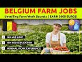 Belgium Farm Jobs | Agriculture jobs in Belgium 2023 | Job Opportunities In Belgium.