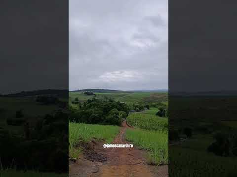 SÍTIO SÃO LUIS ZONA RURAL DE NOVO LINO ALAGOAS.