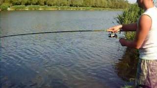 preview picture of video 'Shimano Speedmaster Match 3.9 - 3kg ponty (carp 6.6lbs) - Etyek 2010.05.24'