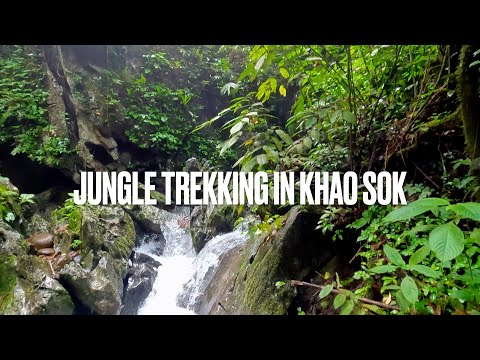 Jungle Trekking in Khao Sok, Thailand - June 2022 - 4K