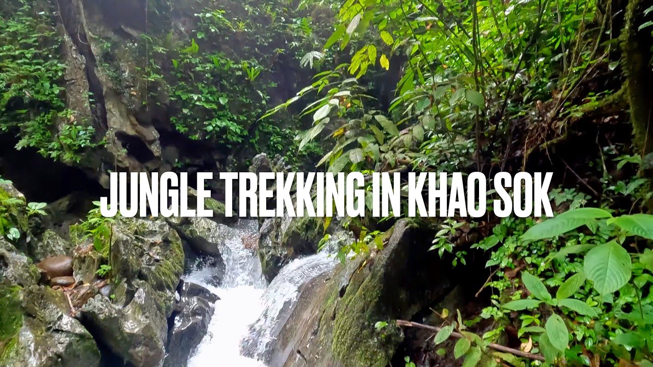 Embark on an exhilarating virtual journey through the dense jungles of Khao Sok.