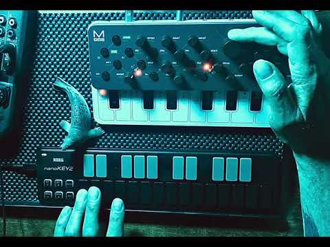 Modal SKULPT SE- a bit of a jam by RtB