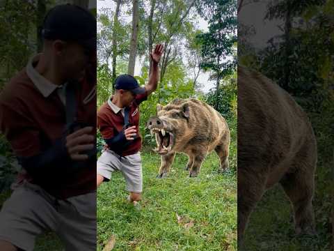 Survival Skills: Making a Horn to Scare Wild Animals  🐗#ohd #survival #camping #bushcraft #skills