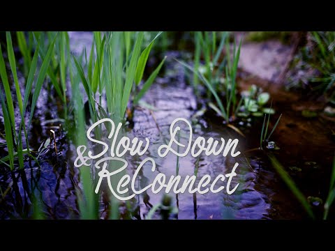 Return to Simplicity - Slow Down & ReConnect  432hz Wind Chimes Meditation