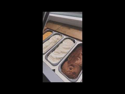 🦊 Lapės ledai jūsų šventėje! 🍦 #2