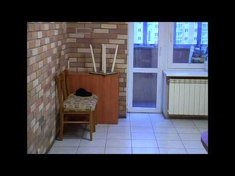 Владислав Крапивин будет жить в квартире с видом на уральское море