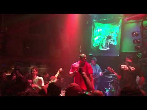 Infest @ Earslaughter 4 - 2019