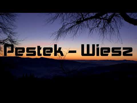 10. Pestek - Wiesz " Już Nie Ten Sam "