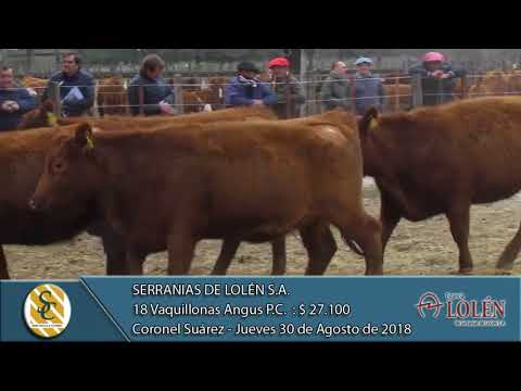 30-08-18 Venta de Vientres Angus Y P.H. P.P., P.C. y P.R. - Serranías de Lolén S.A. - Coronel Suárez