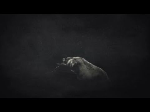 RDR2 - Albino Cougar Hunt