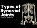 Types Of Synovial Joints
