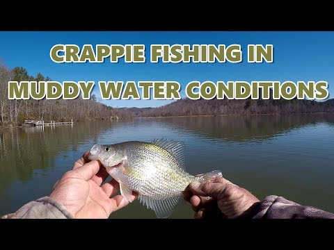 How To Catch Crappie In Cold Muddy Water Conditions Video