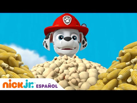 Paw Patrol, Patrulla de cachorros | ¡El rescate de las palomitas de maíz! | Nick Jr. En Español
