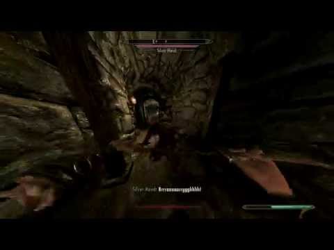 Skyrim Redone melee combat (60fps)