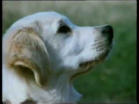 Monday Night on Thames trail and ad break 1983