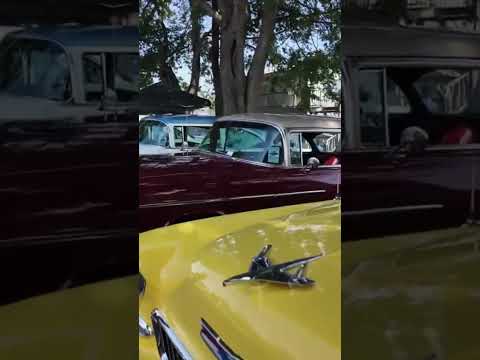 Classics at Tri Five Nationals 2024: Biggest 55-57 Chevy Show #trifivechevy #trifive thumbnail