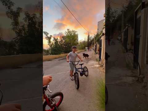 كلب الجيران فلتان بالحي 🤦🏻‍♀️ #shortvideo #اكسبلور #funny #shorts #trending #viral #love #dog