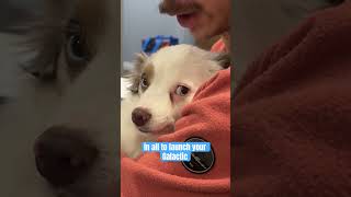 Unknown Channel - Galactic Cruise video thumbnail