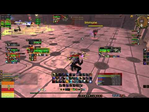 5.4.8 MM Hunter PvP (Gameplay)