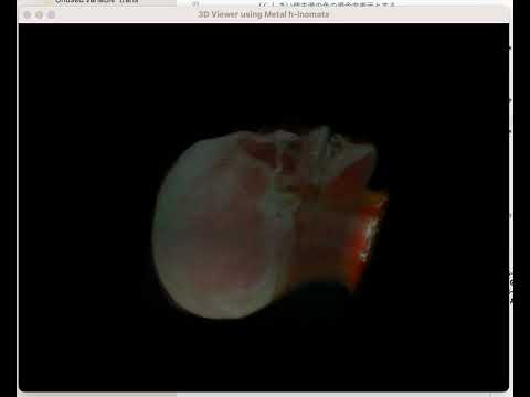 保健学科 Volume Renderin by Raycast in Apple Metal