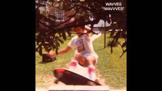 The Wavves-No Hope Kids