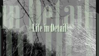 Robert Palmer Life in Detail (audio)