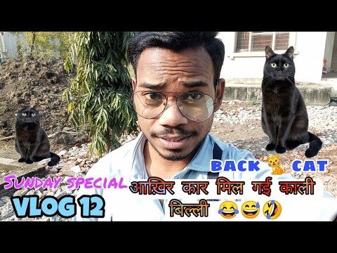 Black cat ।। Animals lovers।। आखिर कार मिल ही गई ब्लैक बिल्ली।। Sunday vlog ।। Tribal_boy021