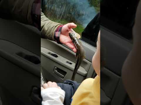 04.14.2020 Daddys fish in the Mtns