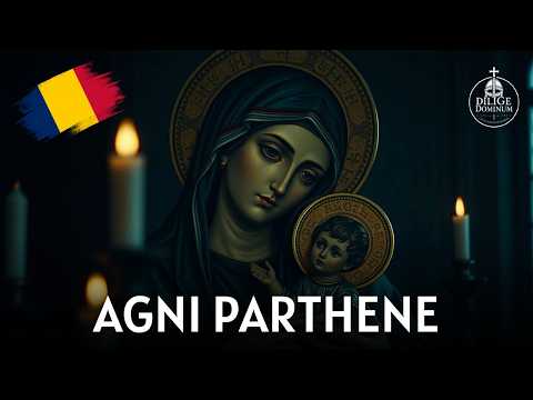 Agni Parthene (Pe tine te fericim) - Romanian Orthodox Hymn For Mother Mary [English Lyrics]