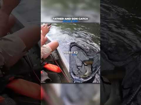 Father and Son Catch HUGE FISH
