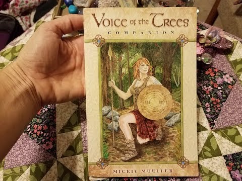 Daily Card Tree Tuesday December 4, 2018, Oracle Card Reading